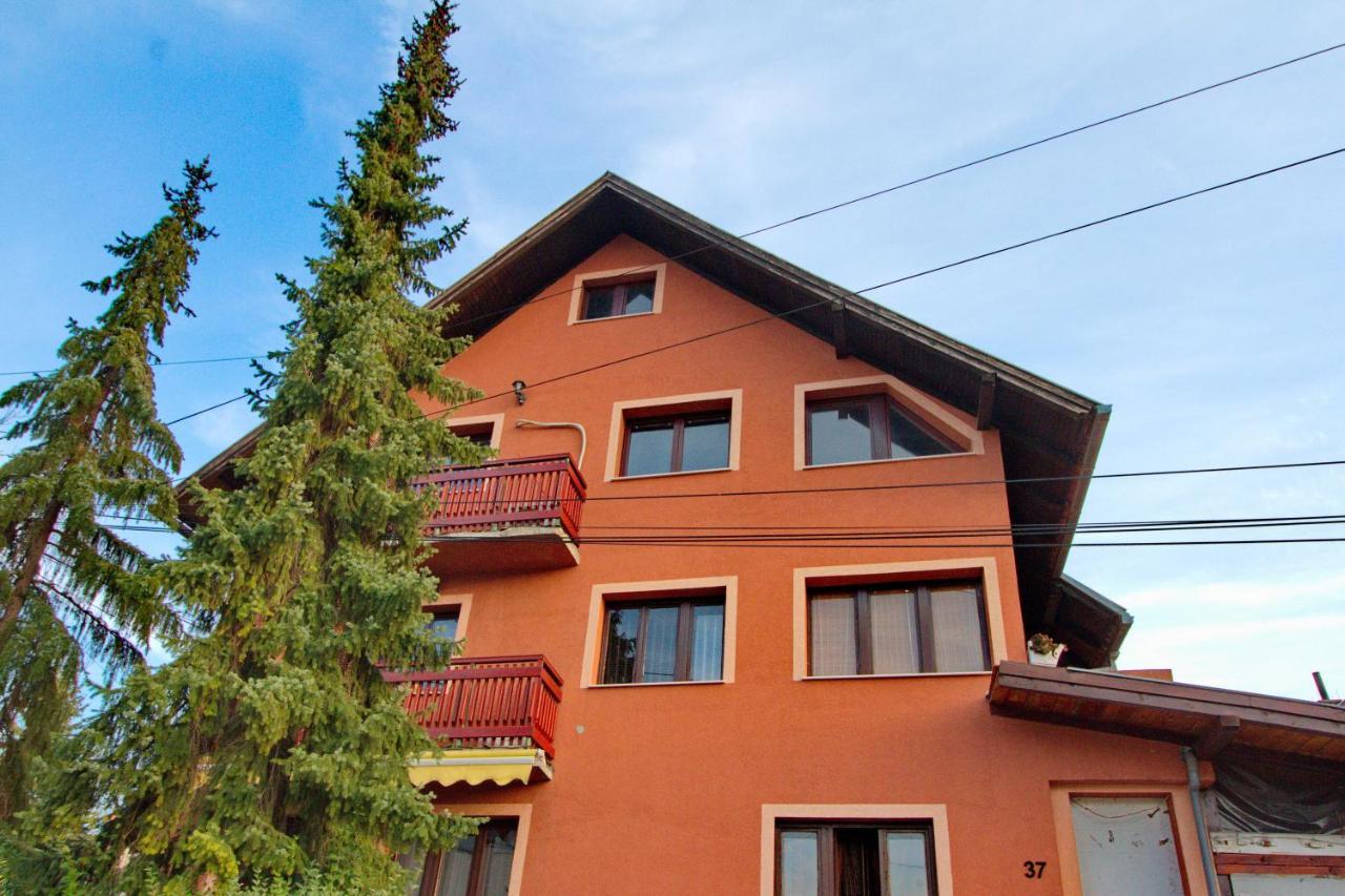 Smestaj Kod Nine I Matije Cajetina  Esterno foto